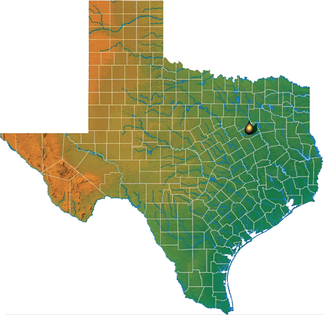 Corsicana Field (East Texas Basin)