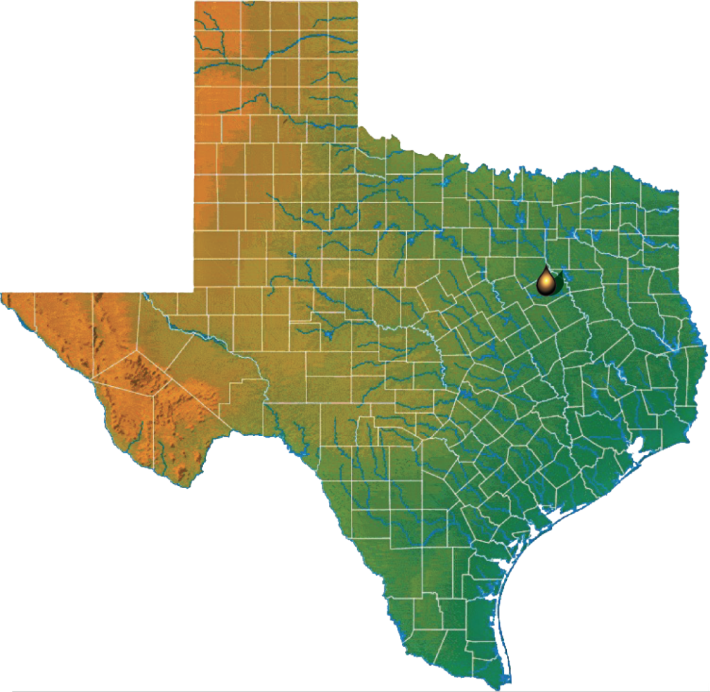 Corsicana Field (East Texas Basin) .